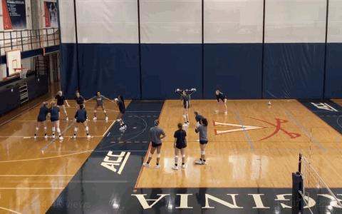 uva-vball-play.gif